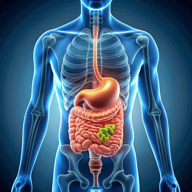 Persona practicando respiración al amanecer para mejorar metabolismo